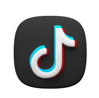 social icon Tiktok