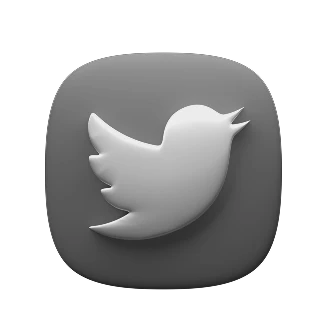 social icon Twitter
