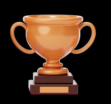 Bronze Trophy