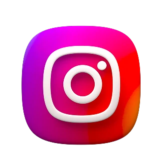 social icon Instagram